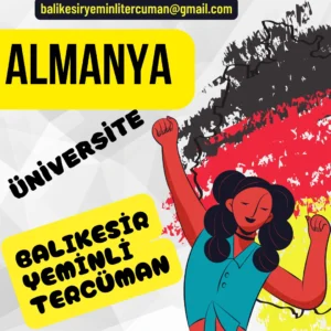 almanya üniversite basvurusu